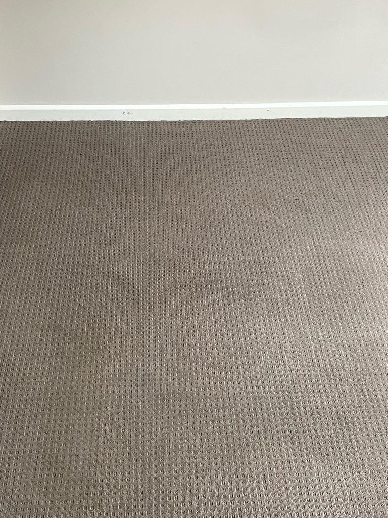 carpet-after-1