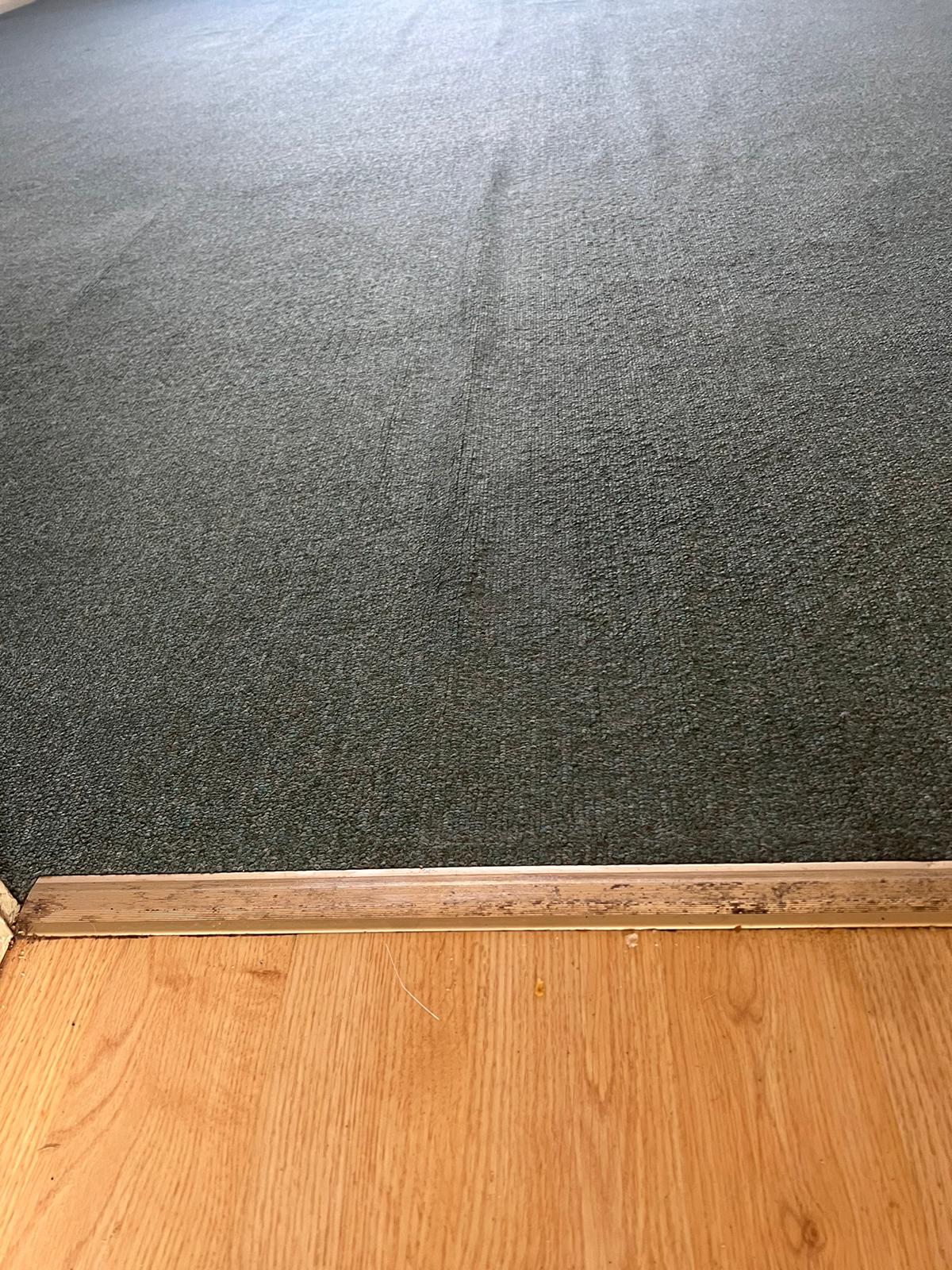 carpet-after-4