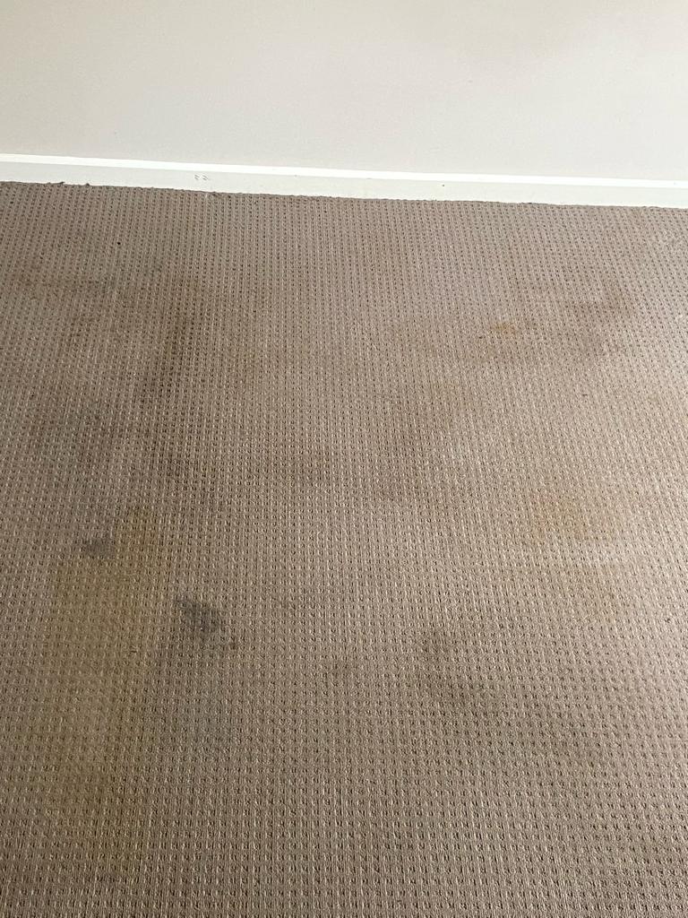 carpet-before-1