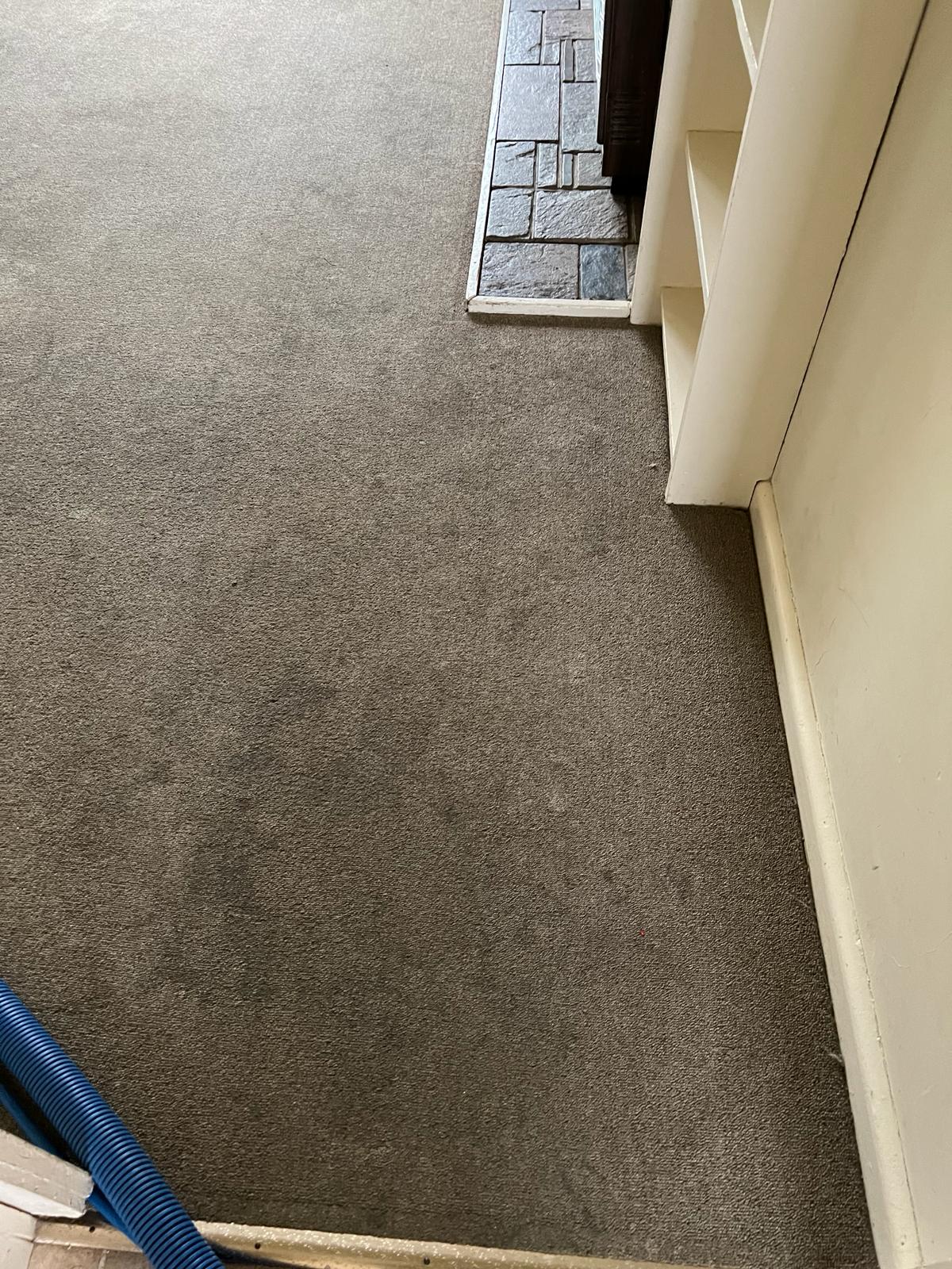 vicdry-carpet-cleaning-before